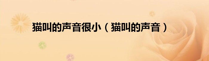 猫叫的声音很小（猫叫的声音）