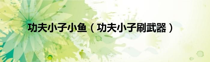 功夫小子小鱼（功夫小子刷武器）