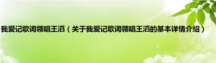 我爱记歌词领唱王滔（关于我爱记歌词领唱王滔的基本详情介绍）