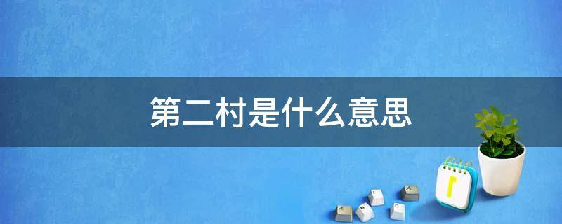 第二村是什么意思