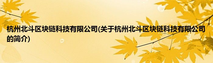 杭州北斗区块链科技有限公司(关于杭州北斗区块链科技有限公司的简介)