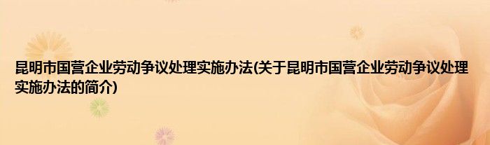 昆明市国营企业劳动争议处理实施办法(关于昆明市国营企业劳动争议处理实施办法的简介)