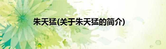 朱天猛(关于朱天猛的简介)