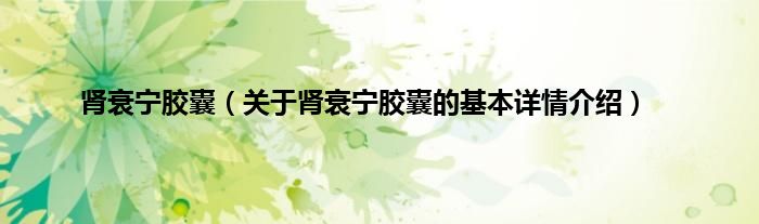 肾衰宁胶囊（关于肾衰宁胶囊的基本详情介绍）