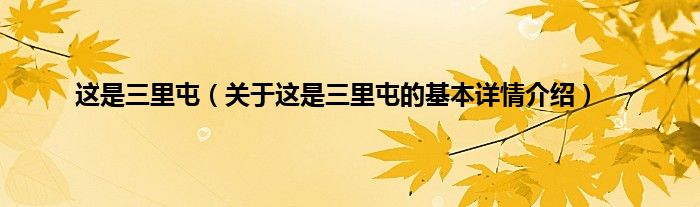 这是三里屯（关于这是三里屯的基本详情介绍）