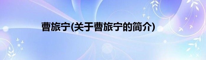 曹旅宁(关于曹旅宁的简介)