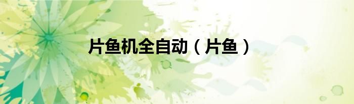 片鱼机全自动（片鱼）