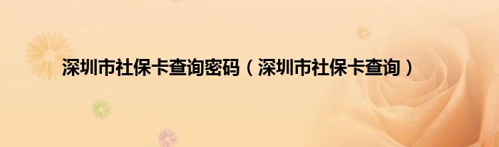 深圳市社保卡查询密码(深圳市社保卡查询)