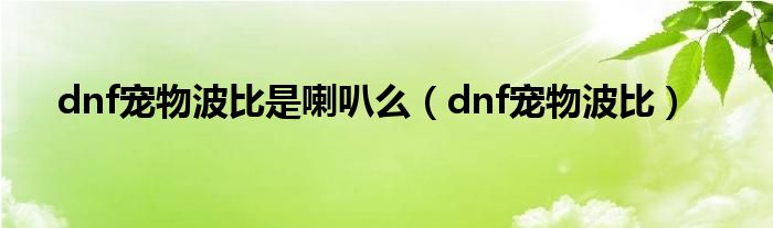 dnf宠物波比是喇叭么（dnf宠物波比）