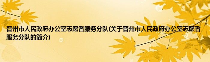 晋州市人民政府办公室志愿者服务分队(关于晋州市人民政府办公室志愿者服务分队的简介)