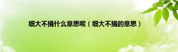 细大不捐什么意思呢（细大不捐的意思）