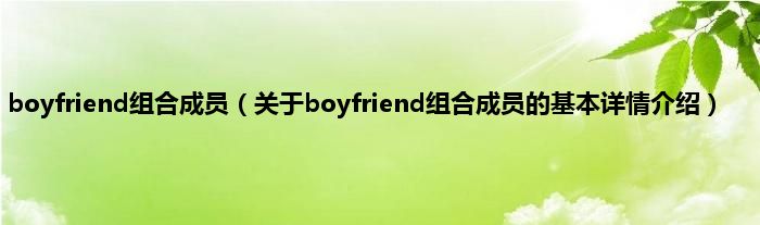 boyfriend组合成员（关于boyfriend组合成员的基本详情介绍）