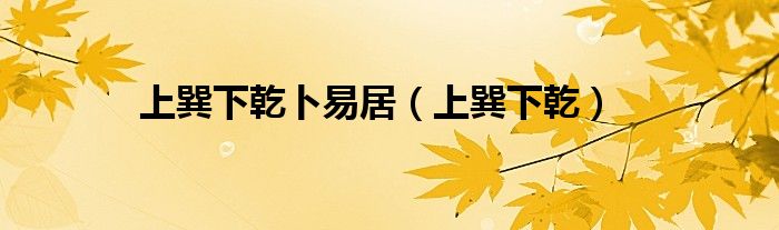 上巽下乾卜易居（上巽下乾）