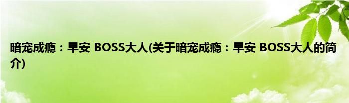 暗宠成瘾:早安 BOSS大人(关于暗宠成瘾:早安 BOSS大人的简介)