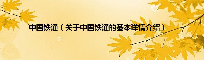 中国铁通（关于中国铁通的基本详情介绍）