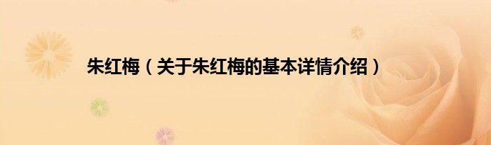 朱红梅（关于朱红梅的基本详情介绍）