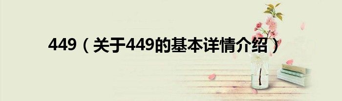 449（关于449的基本详情介绍）