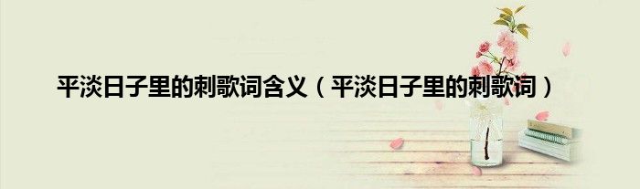 平淡日子里的刺歌词含义（平淡日子里的刺歌词）