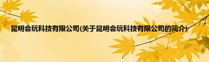 昆明会玩科技有限公司(关于昆明会玩科技有限公司的简介)
