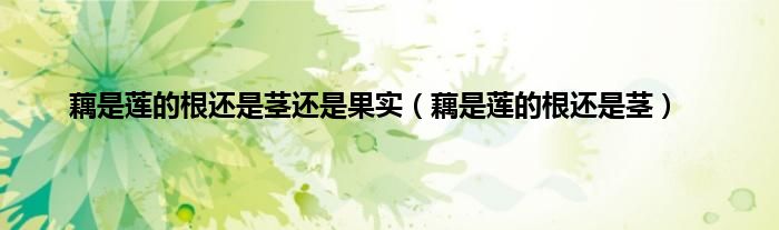 藕是莲的根还是茎还是果实（藕是莲的根还是茎）