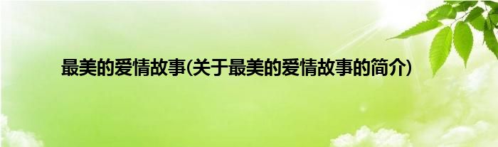 最美的爱情故事(关于最美的爱情故事的简介)