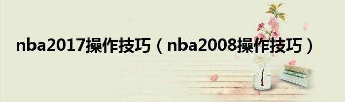 nba2017操作技巧(nba2008操作技巧)