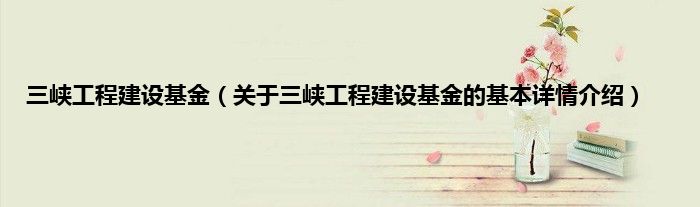三峡工程建设基金（关于三峡工程建设基金的基本详情介绍）