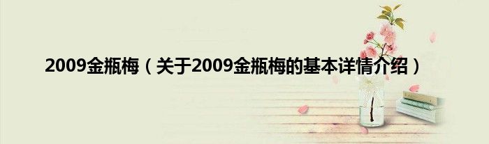2009金瓶梅（关于2009金瓶梅的基本详情介绍）