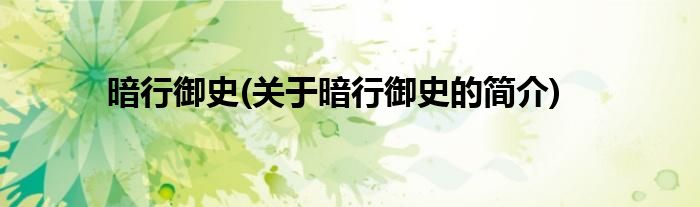 暗行御史(关于暗行御史的简介)