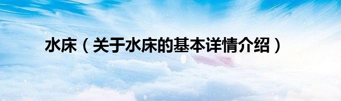 水床（关于水床的基本详情介绍）