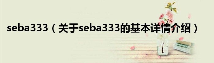 seba333（关于seba333的基本详情介绍）