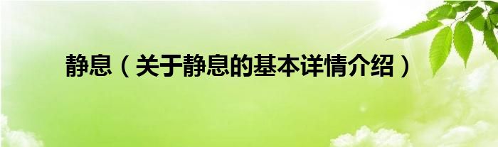 静息（关于静息的基本详情介绍）