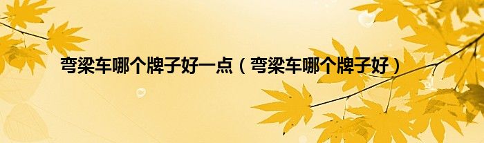 弯梁车哪个牌子好一点（弯梁车哪个牌子好）