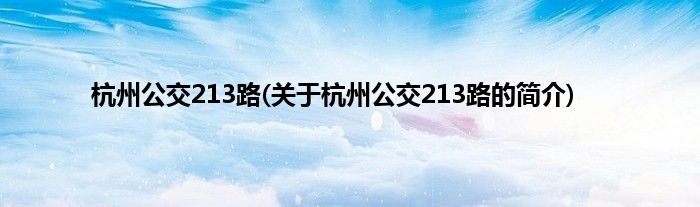杭州公交213路(关于杭州公交213路的简介)