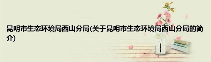 昆明市生态环境局西山分局(关于昆明市生态环境局西山分局的简介)