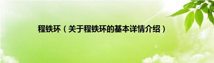 程铁环（关于程铁环的基本详情介绍）