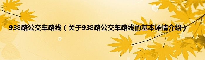 938路公交车路线(关于938路公交车路线的基本详情介绍)